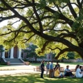 How Industry Professionals are Shaping the Academic Programs and Curriculum at Private Christian Schools